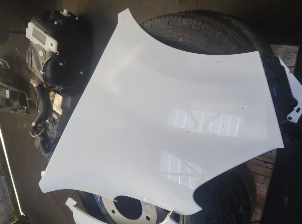 piece_RENAULT MASTER 4 AILE AVANT GAUCHE 631013582R